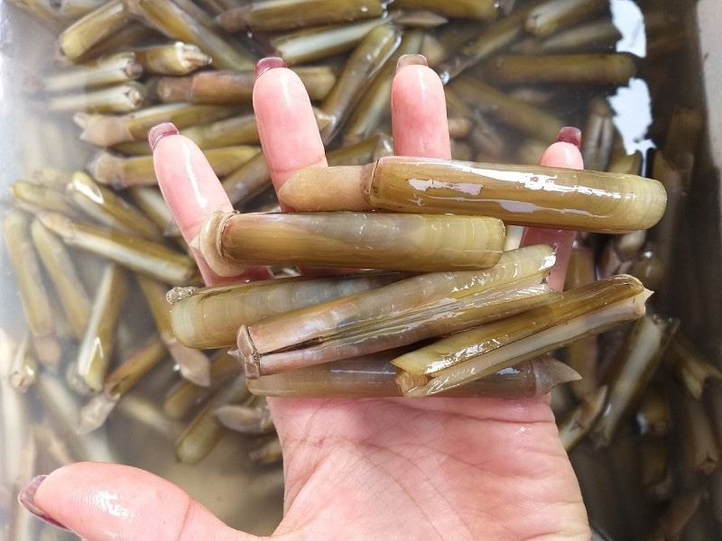 giac-mo-thay-bat-oc-mong-tay giac-mo-thay-bat-oc-mong-tay