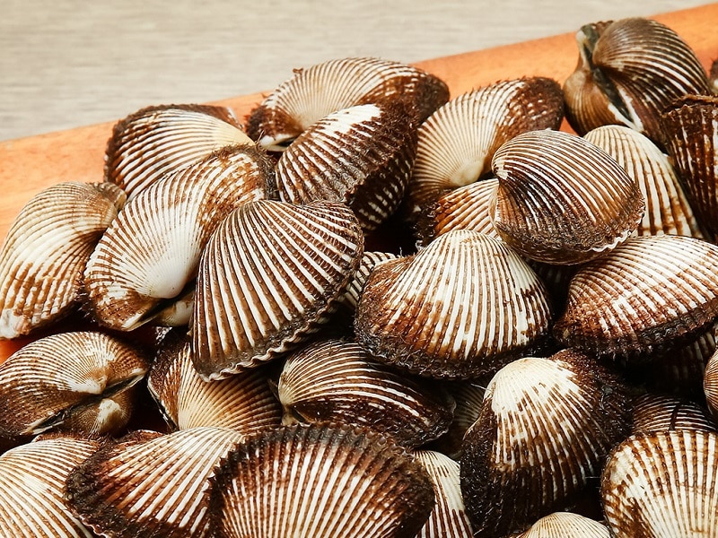 giac-mo-thay-so-long-lon giac-mo-thay-so-long-lon