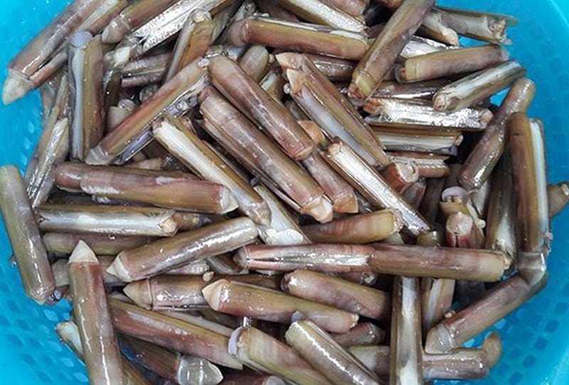 giai-ma-giac-mo-thay-oc-mong-tay giai-ma-giac-mo-thay-oc-mong-tay