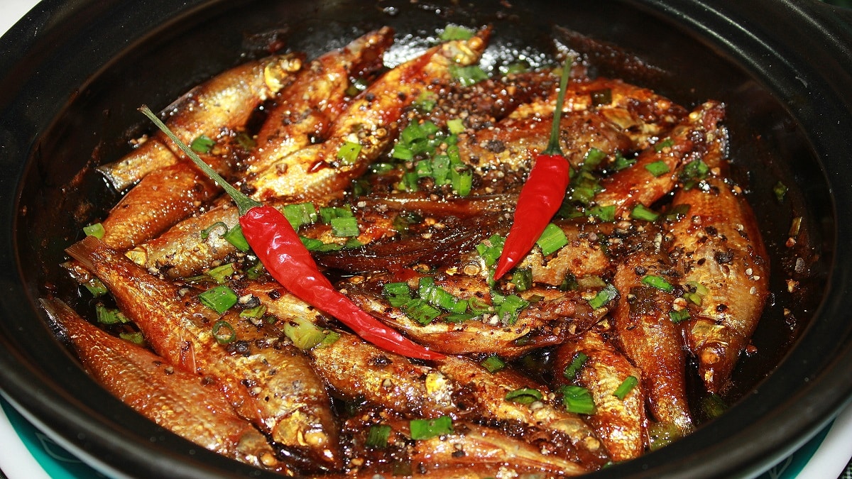 mo-thay-noi-ca-kho-danh-con-gi