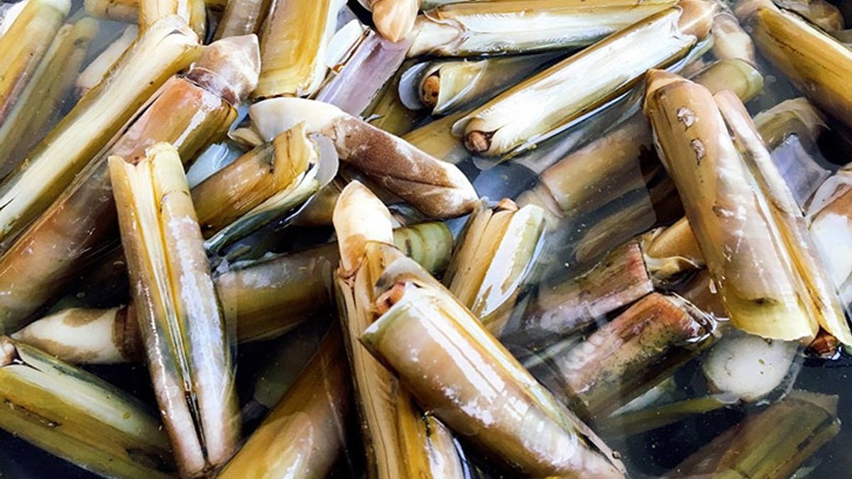 mo-thay-oc-mong-tay-danh-con-gi Mơ thấy ốc móng tay đánh con gì? Mơ thấy ăn ốc móng tay