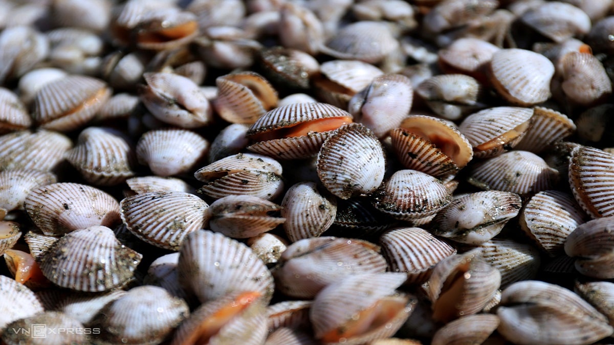 mo-thay-so-long-danh-con-gi mo-thay-so-long-danh-con-gi