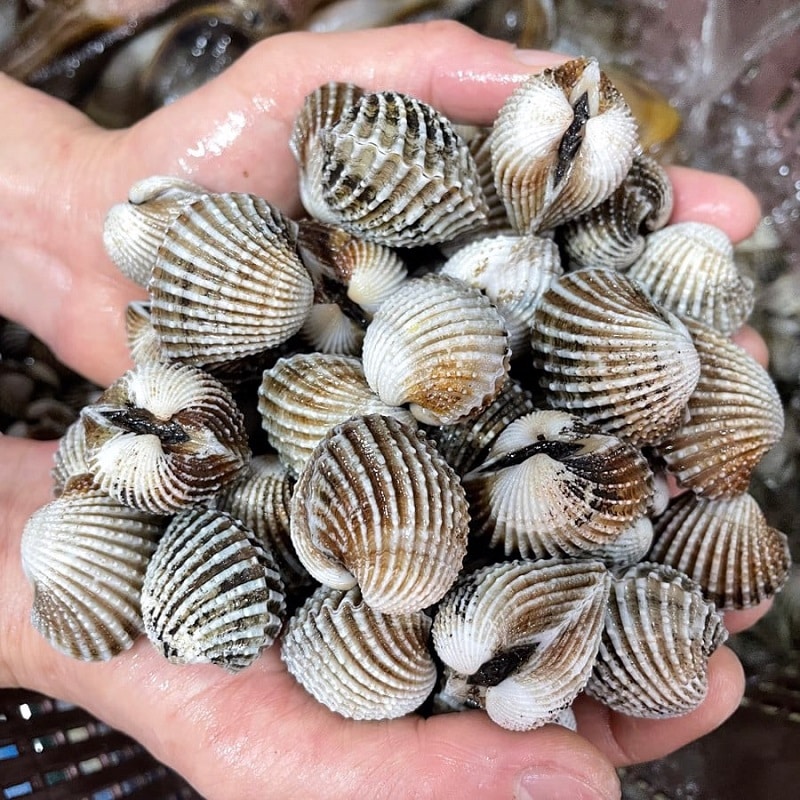 nam-mo-thay-bat-so-huyet-danh-con-gi nam-mo-thay-bat-so-huyet-danh-con-gi