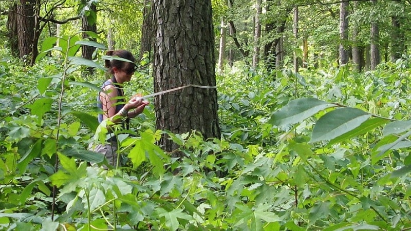 nam-mo-thay-minh-lac-vao-rung-cay nam-mo-thay-minh-lac-vao-rung-cay