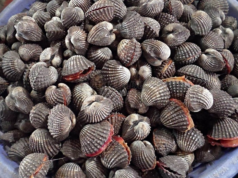 nam-mo-thay-so-huyet-chet nam-mo-thay-so-huyet-chet